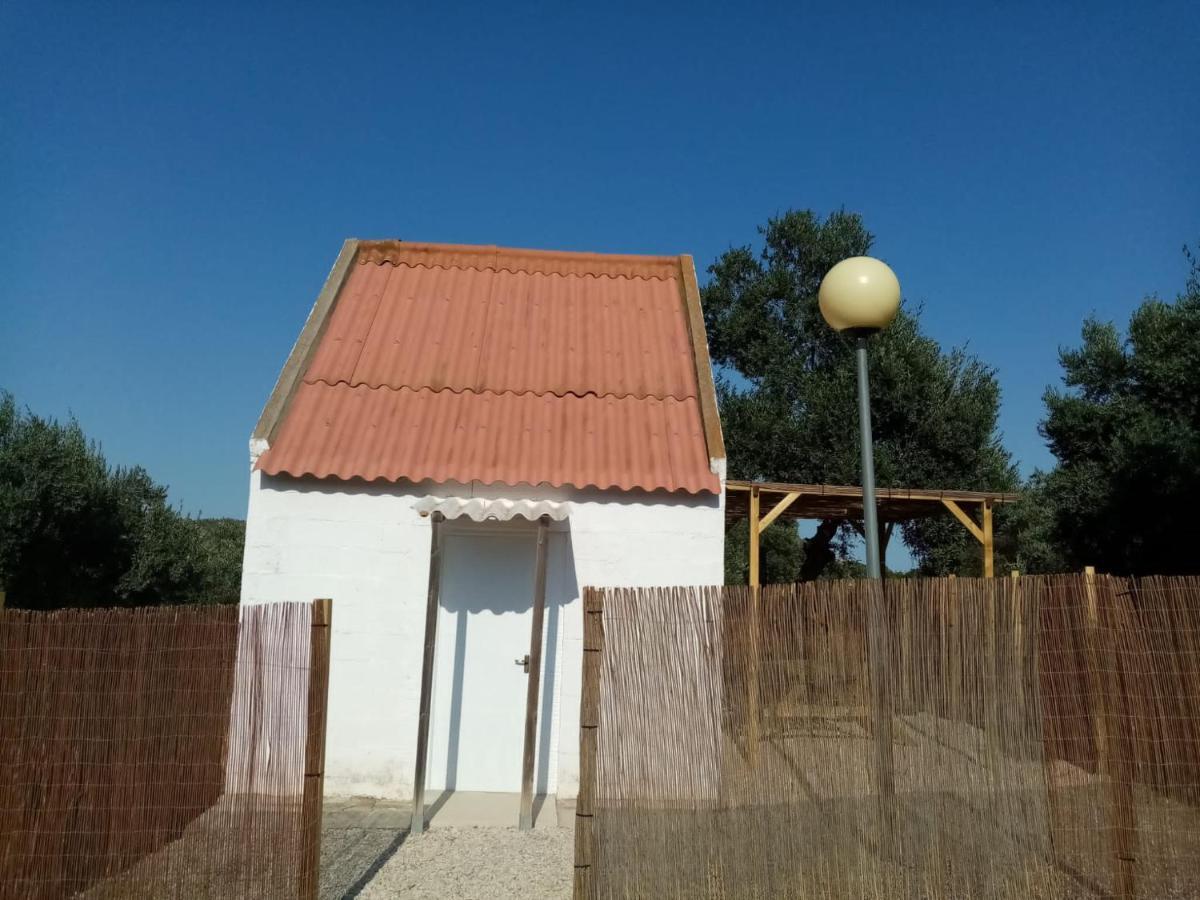 Camping Riba-Roja Dış mekan fotoğraf