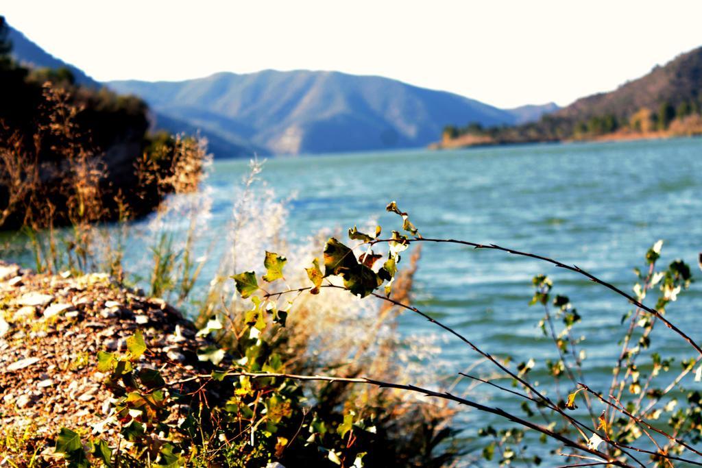 Camping Riba-Roja Oda fotoğraf