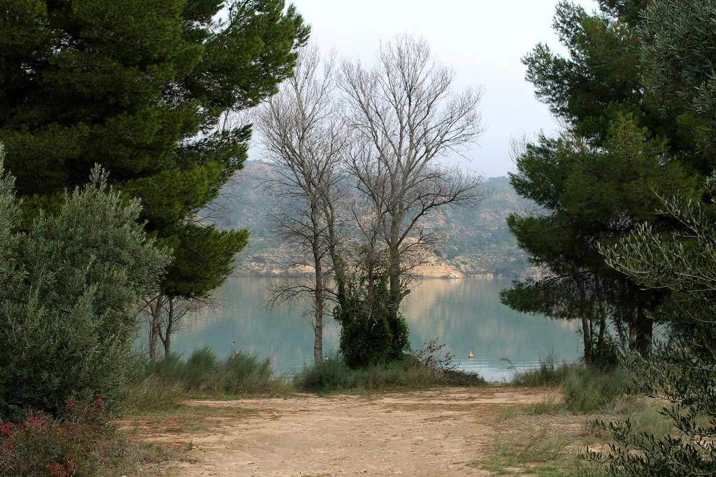 Camping Riba-Roja Oda fotoğraf